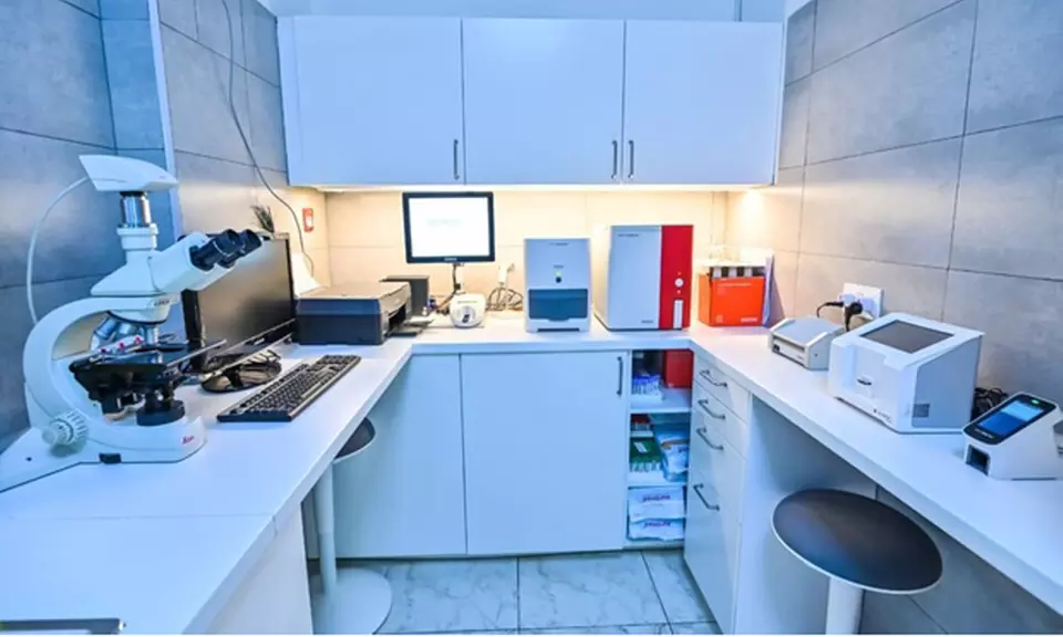 Veterinary Examination at Pet Connection Veterinary Clinic