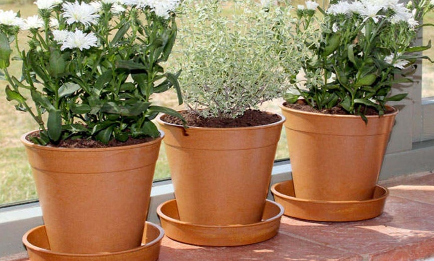 Image 5: Pack of Five Planter Pots with Optional Saucers