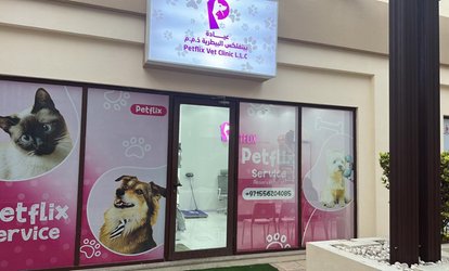 Pet connection hot sale veterinary clinic