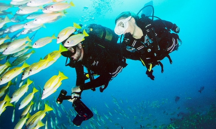 Open Water Diver Tauchkurs