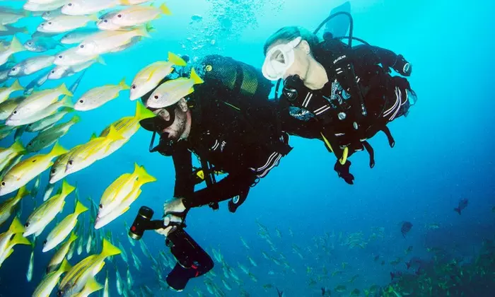 Open Water Diver Tauchkurs