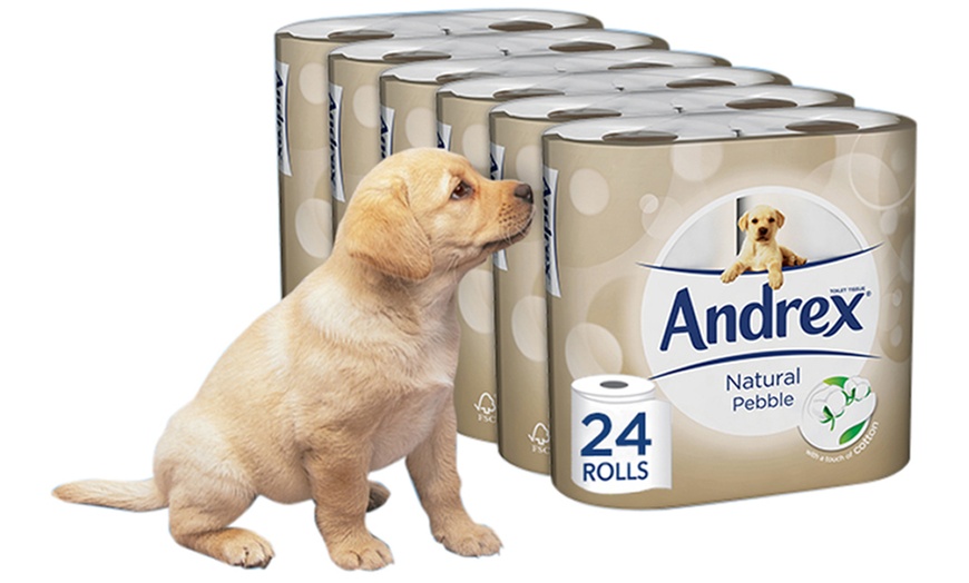 Image 2: Andrex Pebbles Toilet Paper