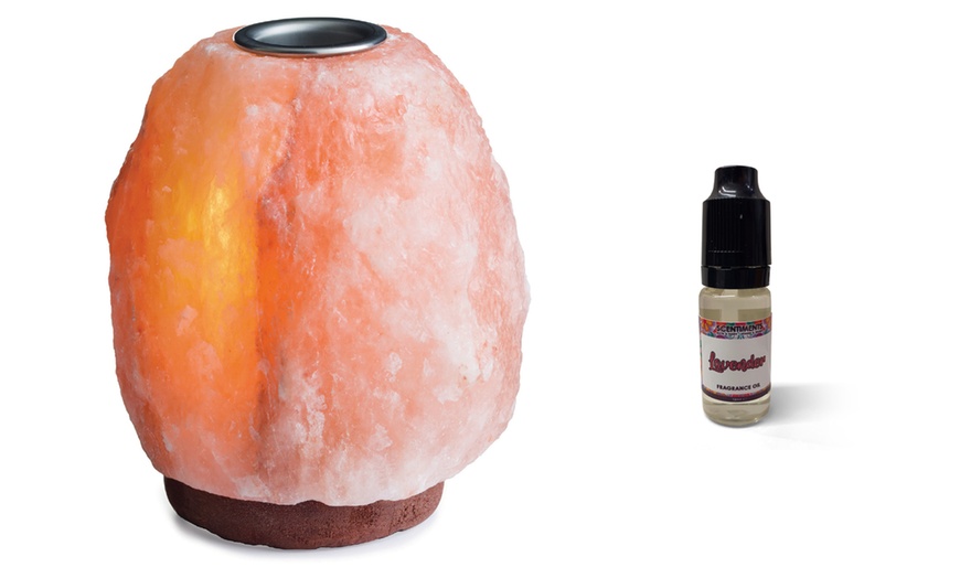 Image 3: Himalayan Salt Lamp Oil Diffuser