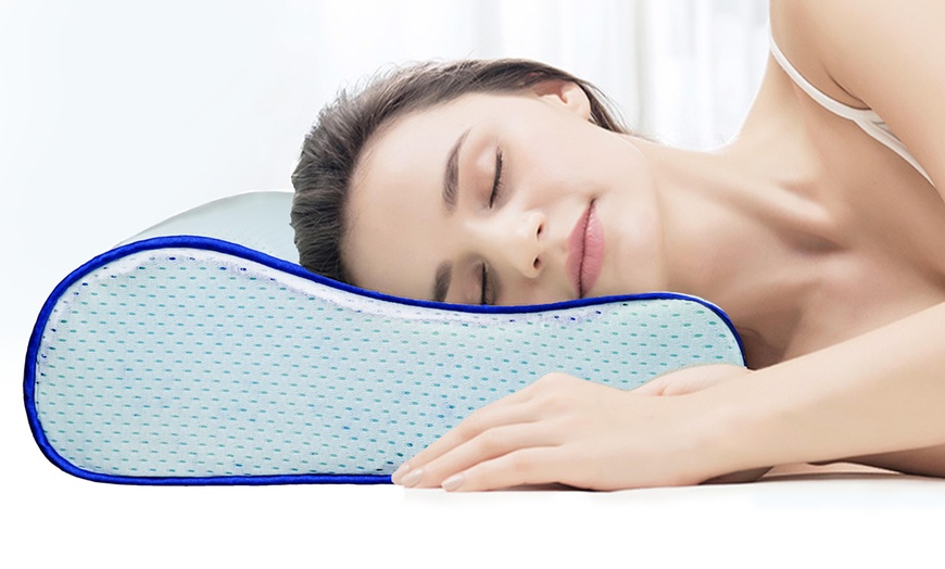 ramesses cooling gel infused pillow