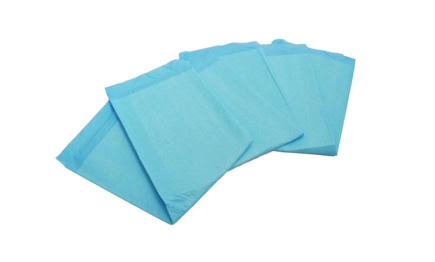 Image 2: 100-Pack of Puppy Pads