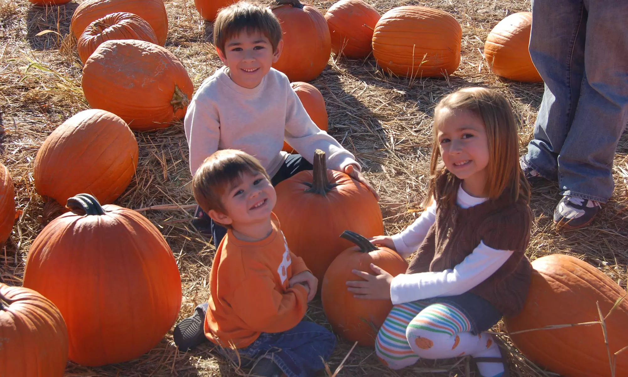 1-Day Fall on the Farm Entry for 2 or 4 at Blooms and Berries Farm Market (Up to 43% Off). 4 Options Available. - Primary Image