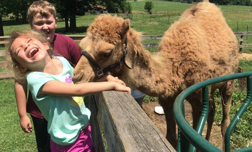 Kentucky Down Under Adventure Zoo - Up To 30% Off - Horse Cave, KY ...