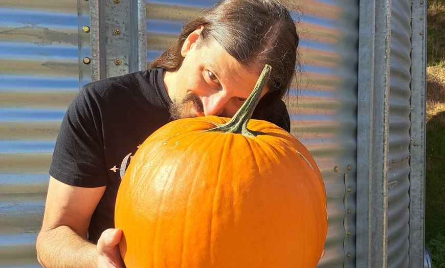 Image 1: Eintritt für 1 Person zu einer Veranstaltung der Halloween-Woche