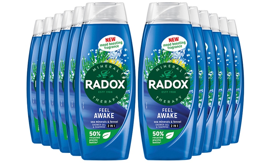 Image 5: Up to 12 Radox Shower Gels 450ml