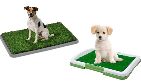 Lettiera per animali domestici in erba sintetica disponibile in 2 dimensioni