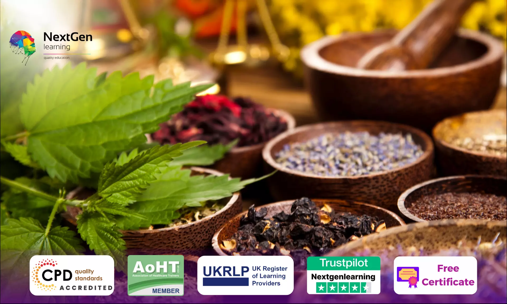 Herbalist - Online Course at NextGen Learning(Up to 61% Off) - Primary Image