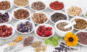 Master Herbalist Online Course