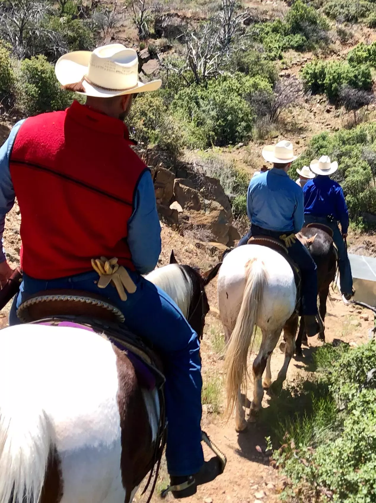 ♞ Experience 90-Minutes of Horseback Adventures