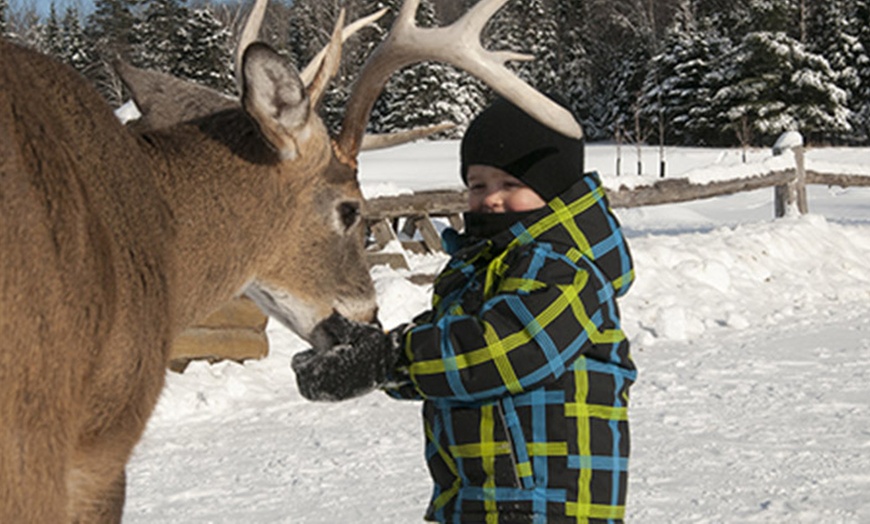 Image 6: Omega Animal Park