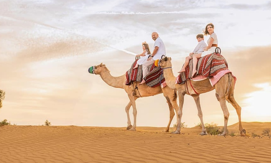 Image 3: Abu Dhabi Desert Safari w/ Central/Home or Hotel Pickup, Dinner & More