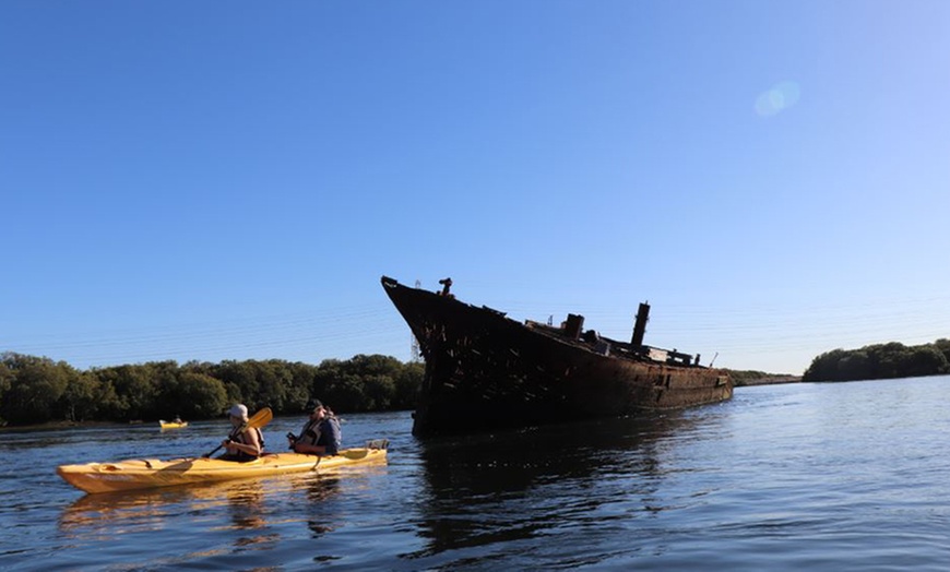 Image 3: 3-Hr Dolphin Sanctuary Kayak Tour