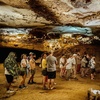 Image 3: Expert Guided Cave Tour for 1, 2, or 4 People w/ Knowledge Sharing