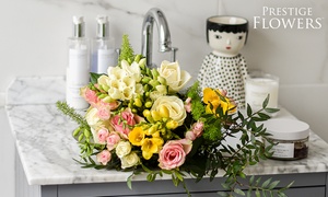 50% Off Fresh Luxury Flowers and Plants