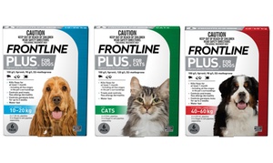  Six-Pack of Frontline Pl... 