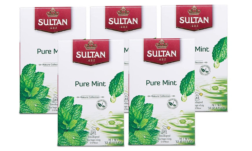 Image 10: 100 Sultan Rich and Natural Teas