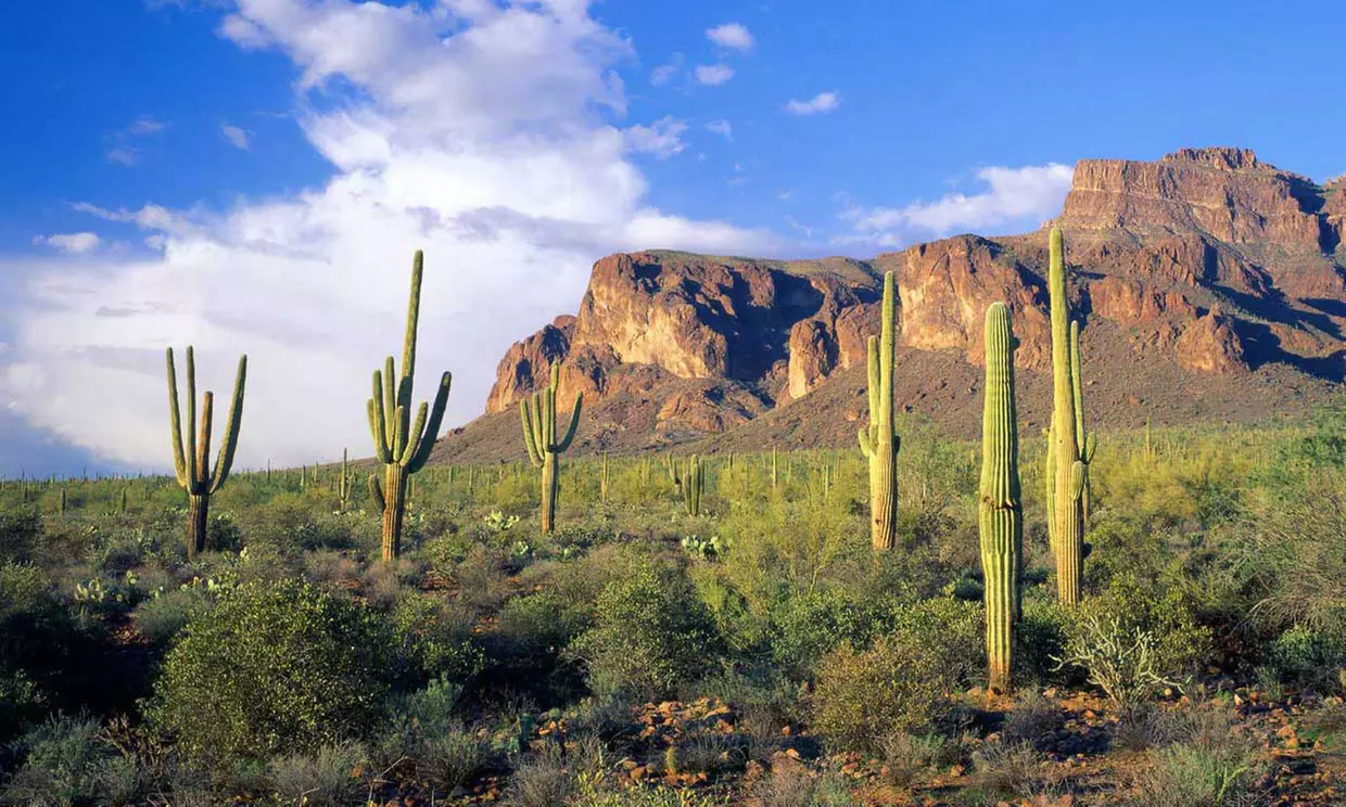 2- or 3-Night Stay with All-Inclusive Signature Ranch Package at Rancho De La Osa in Sasabe, AZ - Primary Image