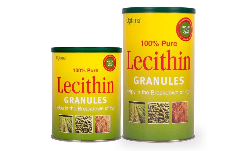 Image 1: Lecithin Granules 
