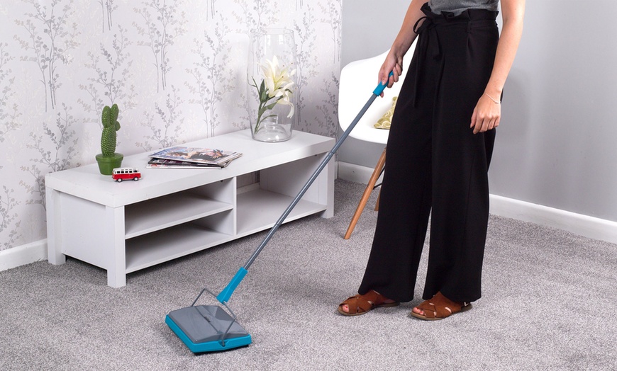 Image 2: Carpet and Spinning Sweeper