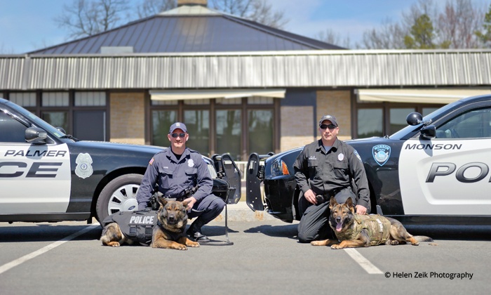 Donation for Police-Dog Vests | Groupon Goods