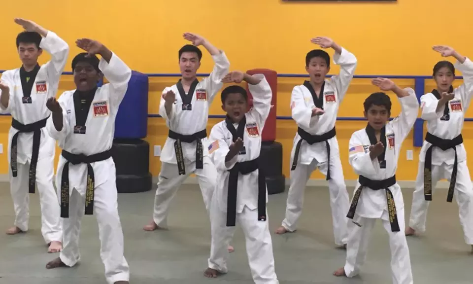 Online Tae Kwan Do Class for One or Two from Grand Master Park's Korean Tae Kwon Do (Up to 50% Off) - Primary Image