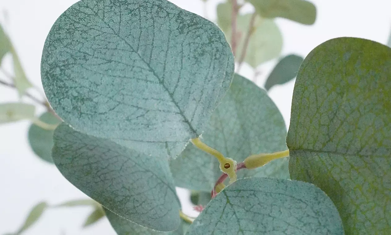 Collezione di piante finte da interno