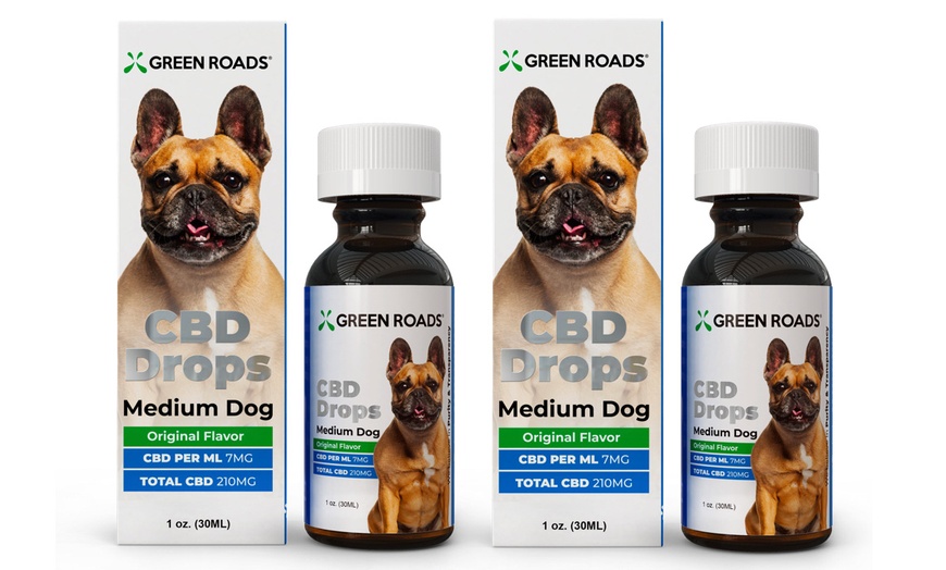 Cbd Oil Drops For Medium Pets From Green Roads 210mg Groupon