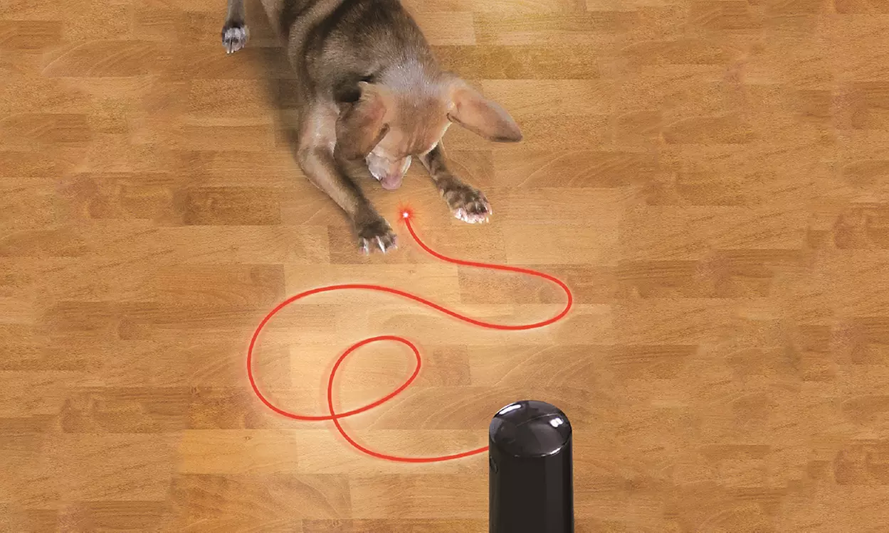 Animal Planet Interactive Laser Pet Toy - Second Medium