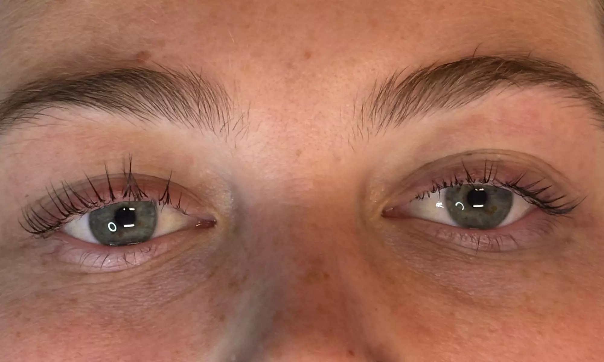 Lash Lift w/ Optional Tint or Lash Lift, Lash Tint and Brow Wax Combo