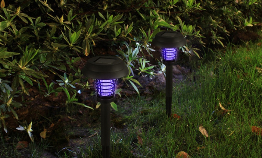 Image 16: Lampe tueuse d'insectes solaire
