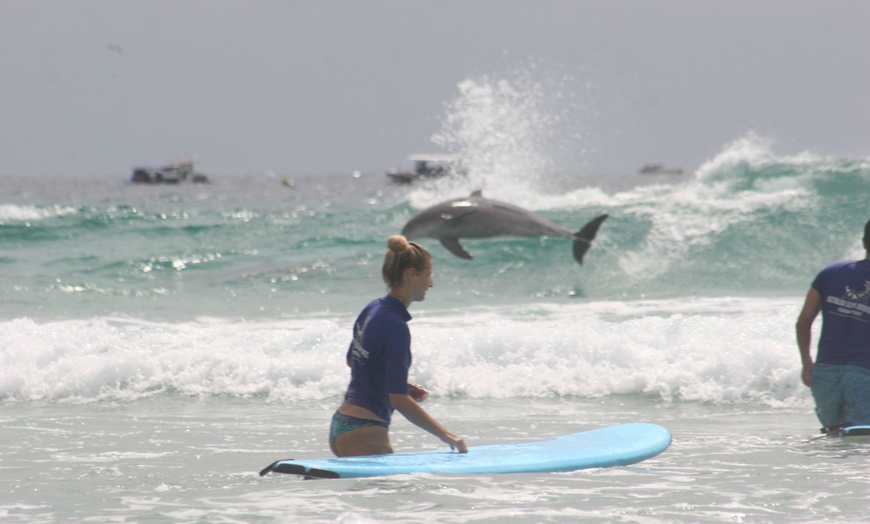 Image 6: Full-Day Surfing Experience