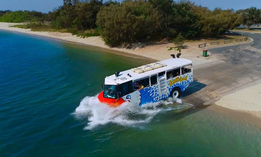 Image 5: Splash and Sightsee: Amphibious Duck Tour for Child, Adults, or Family