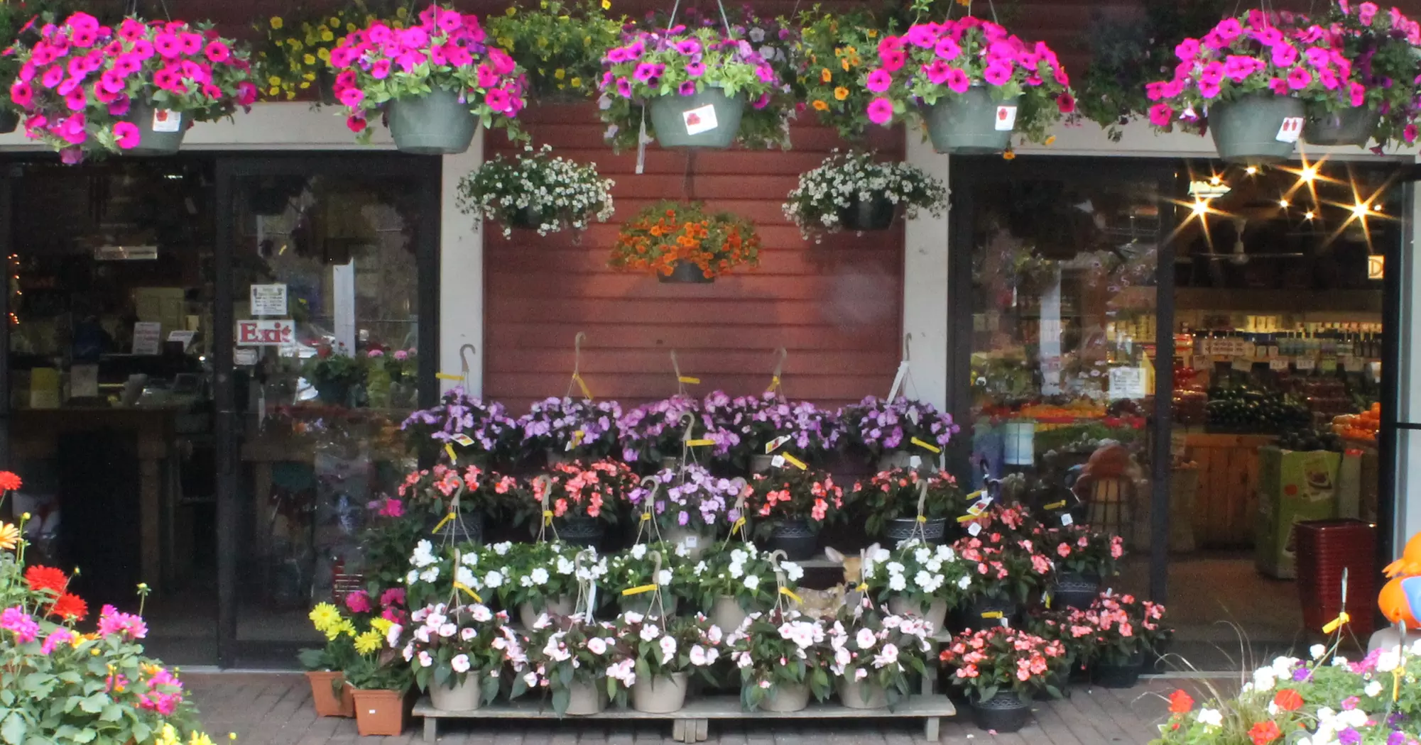 $15 for $25 Toward Hanging Plants at Wagon Wheel Nursery & Farmstand - Primary Image