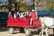 Enjoy a Scenic Horse-Drawn Sleigh or Wagon Ride For Up to Six People at Cornerstone Ranch Up to 26% Off - Second Medium