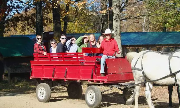 Group Horse-Drawn Sleigh/Wagon Ride with Guide at Cornerstone Ranch