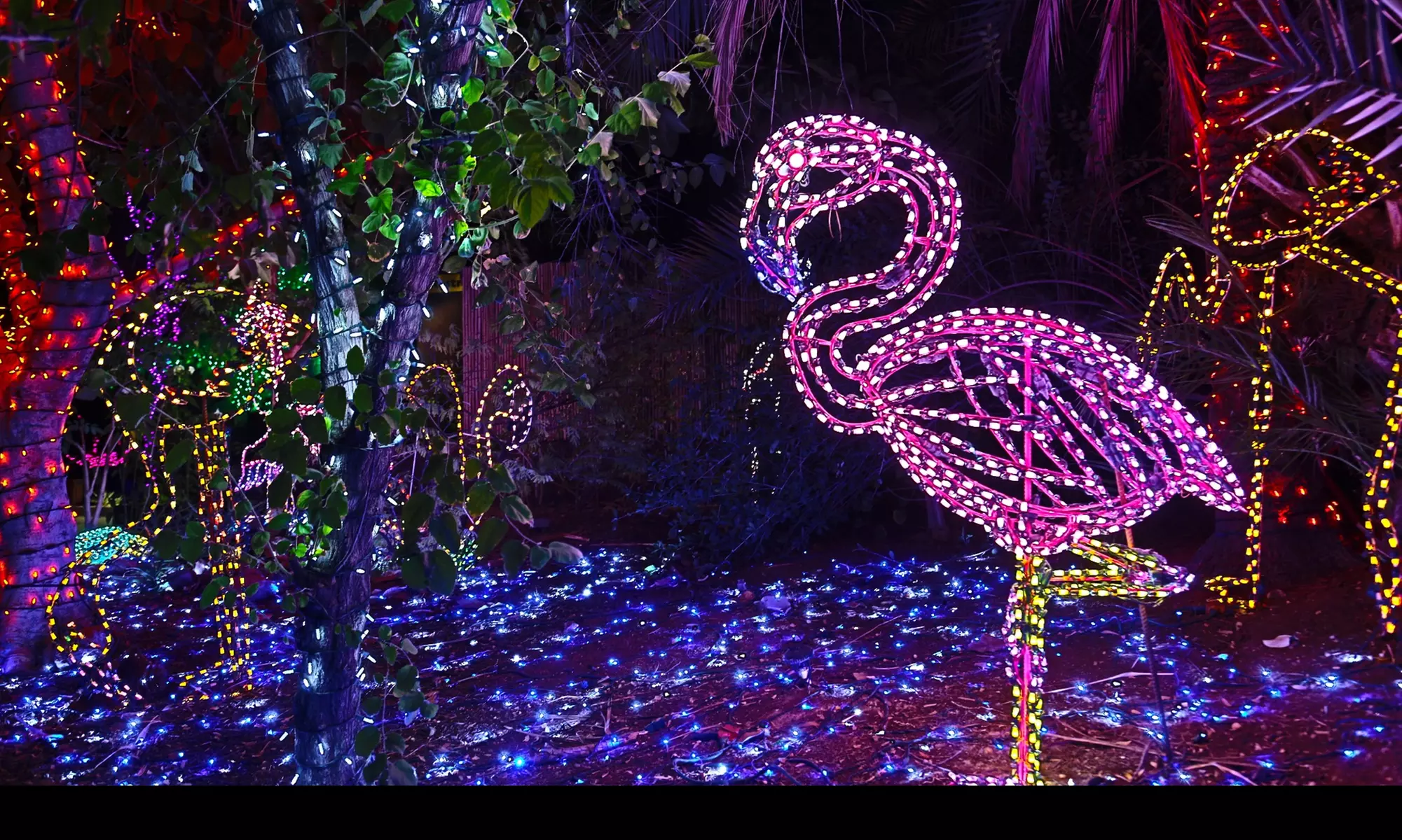 ZooLights Night Time Admission Tickets at Phoenix Zoo