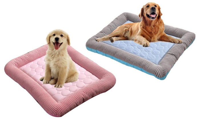 Up To 55% Off Pet Cooling Gel Bed | Groupon