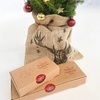 Image 4: Mini albero di natale per bambini con vaso Rootz