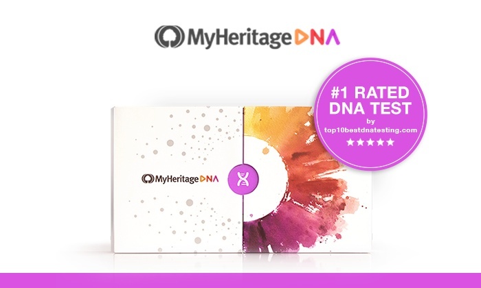 MyHeritage DNA Ancestry-Only Test Kit - MyHeritage | Groupon