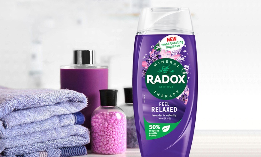 Image 1: Radox Mineral Therapy Shower Gel with Mood-Boosting Fragrance