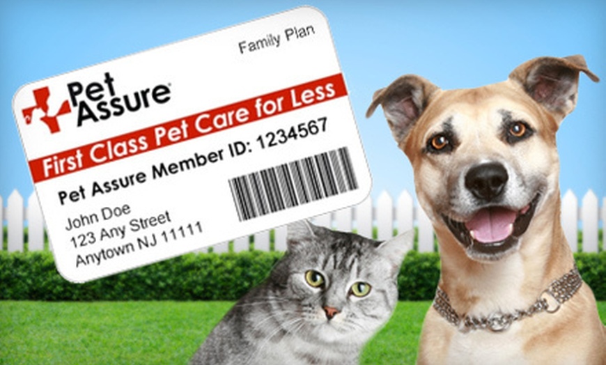 Veterinary Discount Plan - Pet Assure Veterinary Discount Plan | Groupon