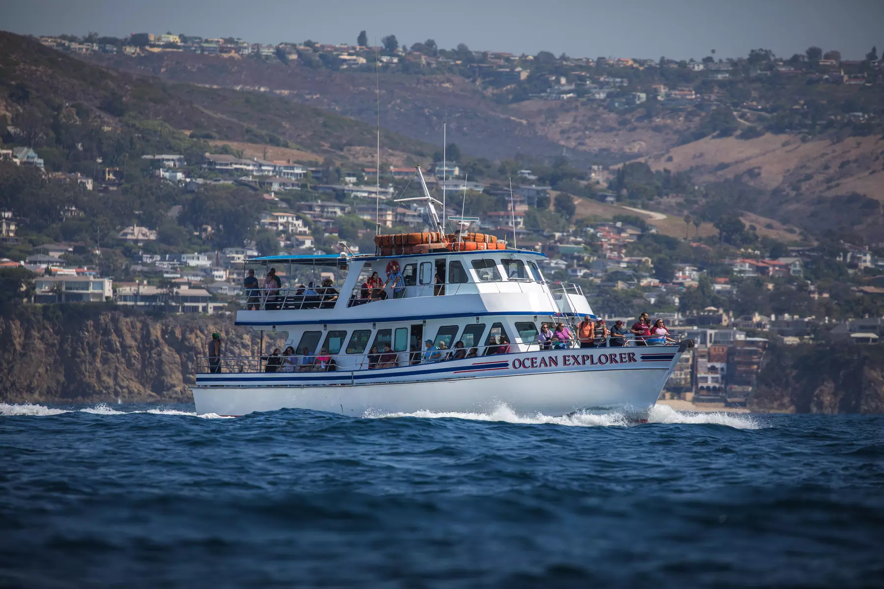 Up to 39% Off Whale Watching at Ocean Explorer Cruises