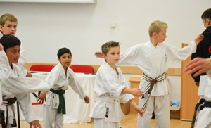 Three Karate Lessons for Child