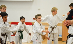 One Month of Shotokan Karate: Child (£12) or Adult (£18)