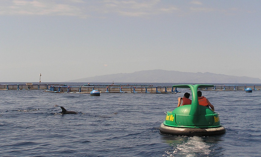 Image 4: Alquiler de water buggy