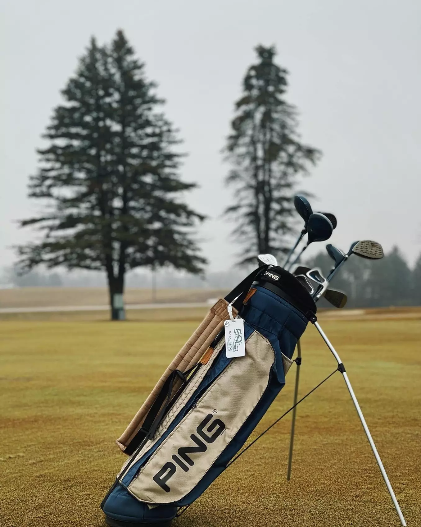 Enjoy 18 Holes Golf with Cart for 1, 2 or 4 Golfers